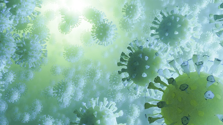 Vaccination and Rapid antigen testing- how they work together for NZ